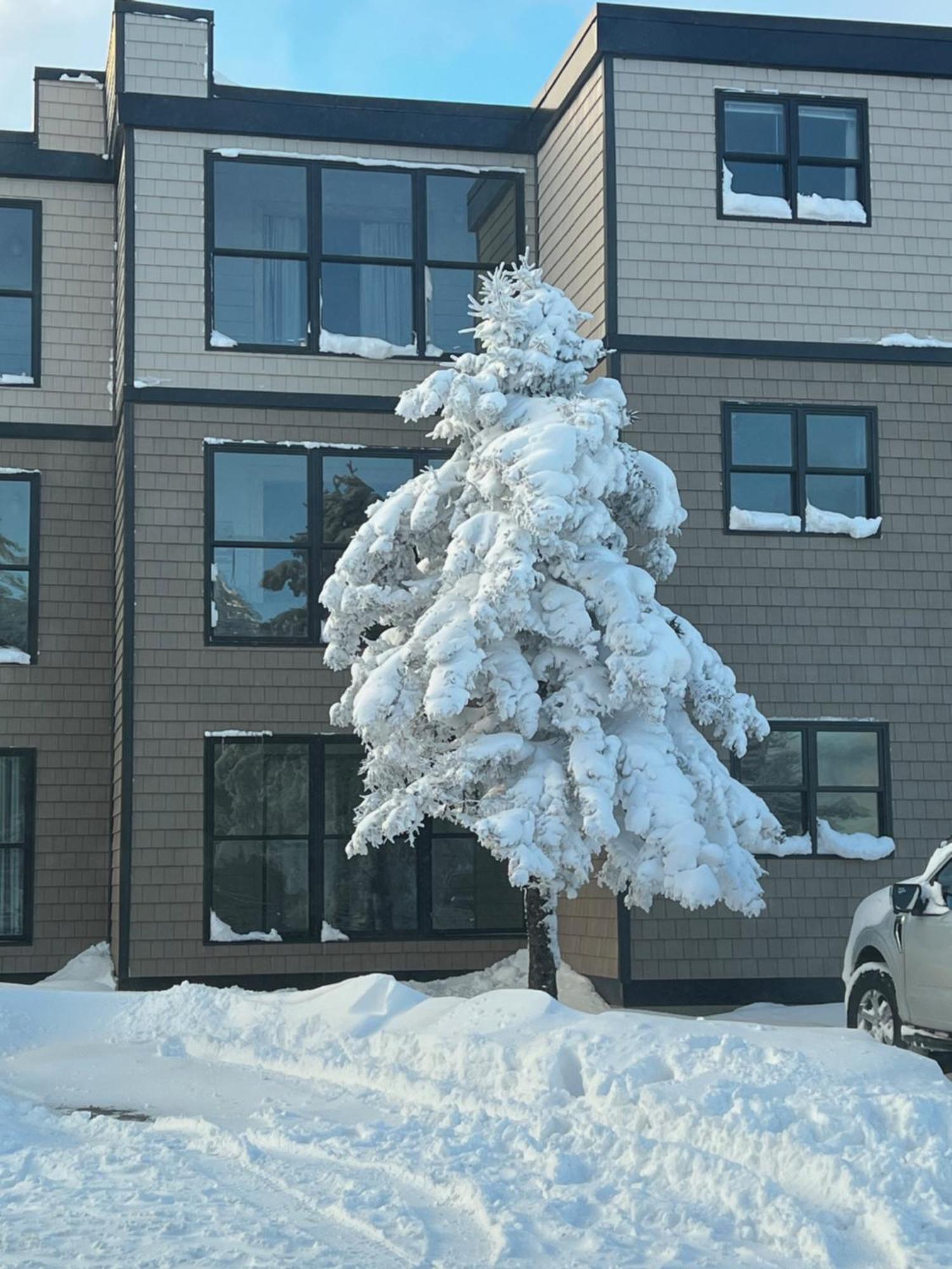 Snowcrest Condo Walking Distance To Slopes Snowshoe Exterior photo